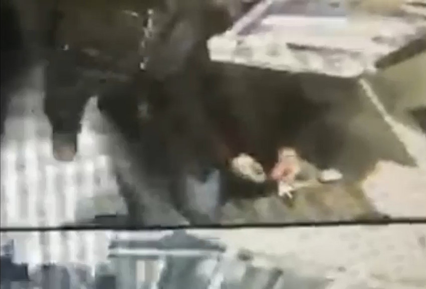 Sır perdesi 10 yıl sonra aralandı! Aynur Kambur cinayetinde yeni görüntüler ortaya çıktı: Cinayete böyle hazırlanmış! - Resim : 2