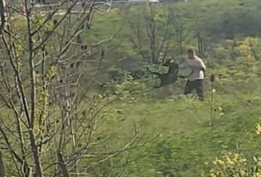 Avcılar'da akıl almaz olay! Kimseye aldırış etmedi: O anlar kamerada! - Resim : 1