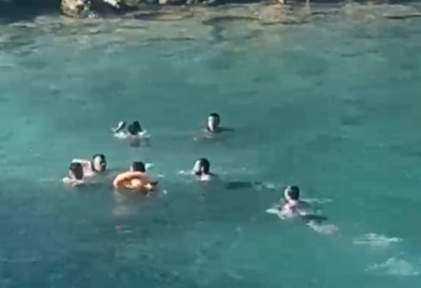 Mersin'de deniz ortasında sopalı kavga: O anlar kamerada - Resim : 2