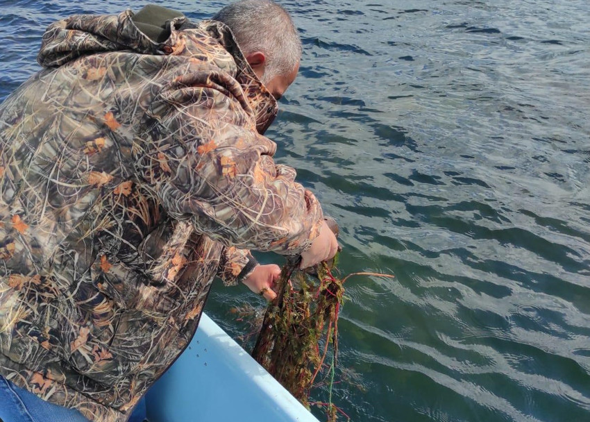 Konya Beyşehir Gölü’nde kaçak avlanma için atılan ağlar ele geçirildi - Resim : 1