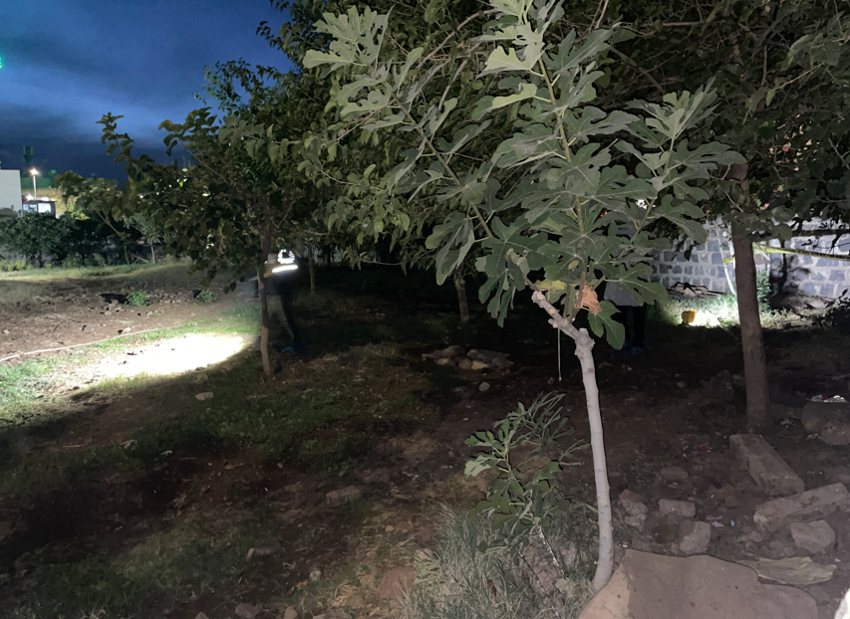 Şanlıurfa'da kan donduran olay! Çocuklar fidan dikmek isterken kabusu yaşadılar - Resim : 1