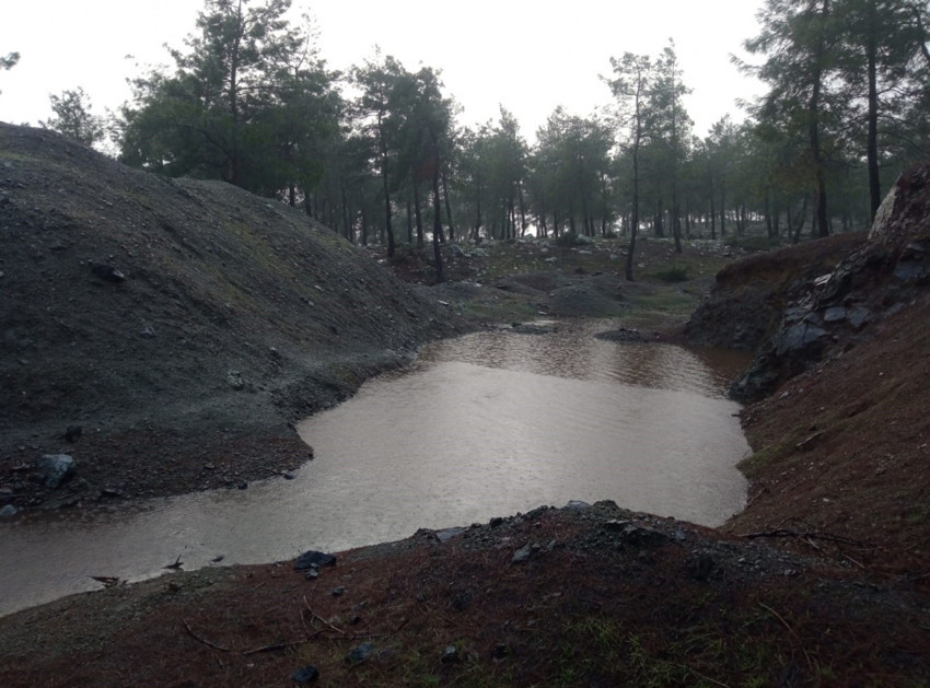 Hatay'da korkunç ihmal! 10 yaşındaki çocuk can verdi - Resim : 1