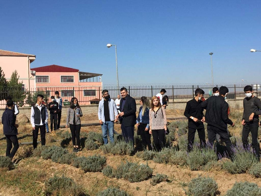 Dicle Üniversitesi'nden Bismil Ovası’nda uygulamalı tarım ve sürdürülebilir üretim hamlesi! - Resim : 8