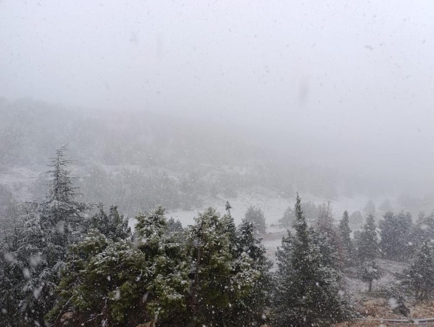 Meteoroloji uyarmıştı: Mersin'de martta lapa lapa kar yağdı! - Resim : 1