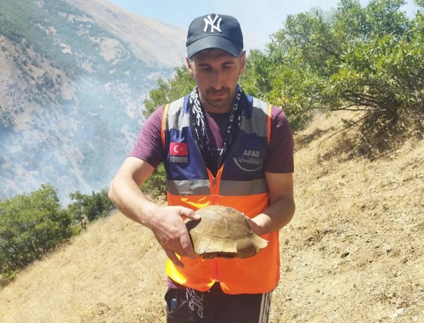 Hakkari’de yangında alevlerin ortasında fark edildi. Gönüllüler sayesinde kurtarıldı - Resim : 1