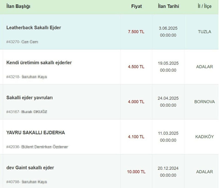 Yasa dışı Sakallı Ejder satışına 60 bin TL para cezası getirildi - Resim : 1