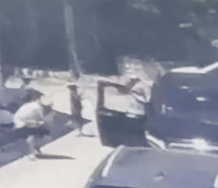 'Daltonlar tehdit ediyor' demişti! Can Polat cinayetinde yeni gelişme: Dosya İstanbul İl Emniyet Müdürlüğü’n devredildi - Resim : 5