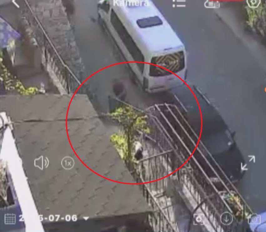 Köpeği taş ve sopayla dövdü: O anlar bir evin güvenlik kamerasına yansıdı! - Resim : 2