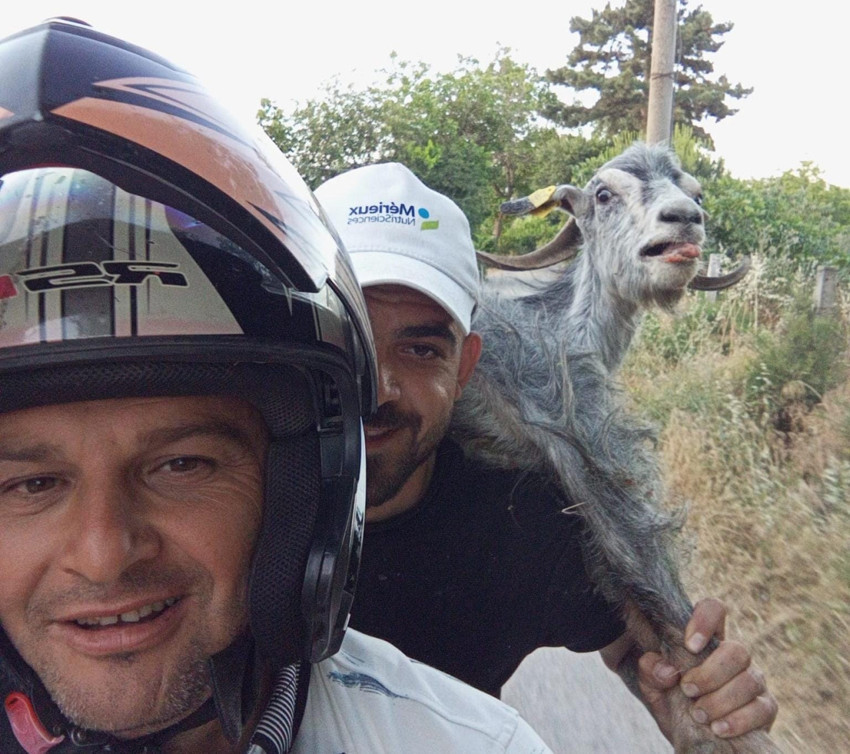 Hayvan pazarında kaçan kurbanlık hayvanı motosikletle takip edip yakaladılar - Resim : 1