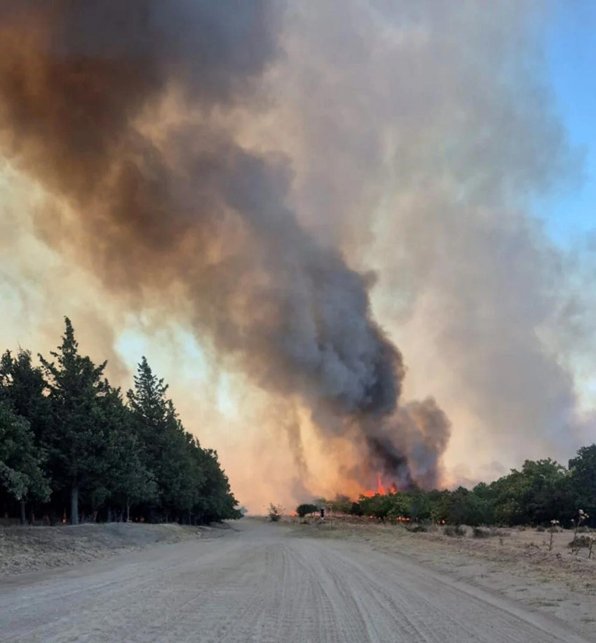 Çanakkale alev alev: 2 bin 90 kişi tahliye edildi! İşte yangınlarla mücadelede son durum - Resim : 12