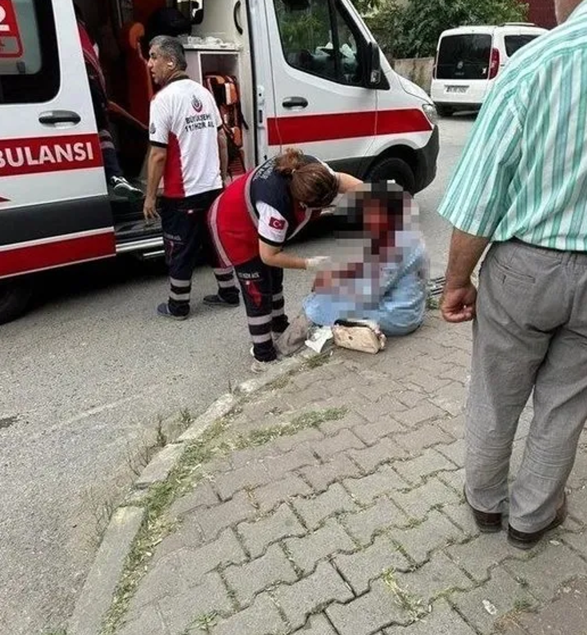 Ataşehir'de başıboş köpek dehşeti: Yargıtay üyesinin eşi dehşet anlarını anlattı! - Resim : 3