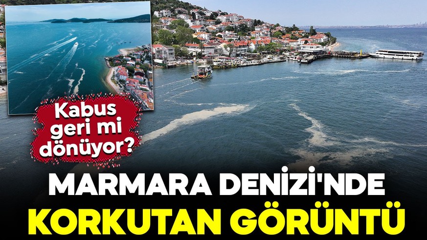 Kabus geri mi dönüyor? Marmara Denizi'nde korkutan görüntü