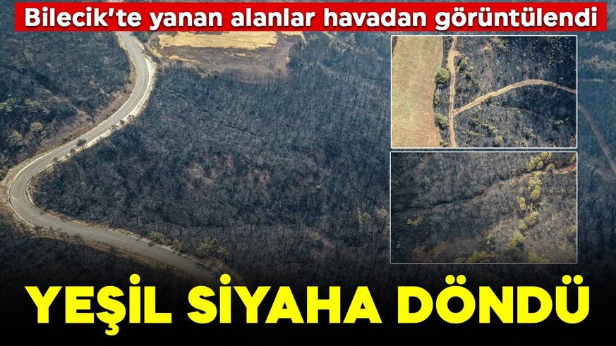 Bilecik orman yangınıyla mücadele ediyor! Yeşil siyaha döndü, yanan alanlar havadan görüntülendi