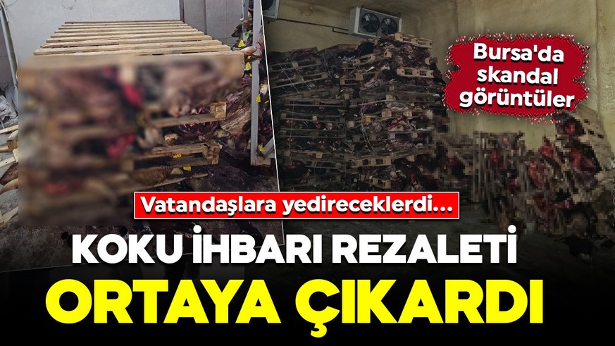 Bursa'da skandal olay! Koku ihbarı rezaleti ortaya çıkardı: Vatandaşlara yedireceklerdi...