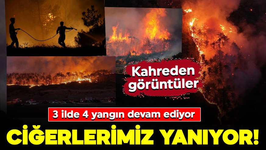 Ciğerlerimiz yanıyor! İşte orman yangınlarında son durum! Bursa yangınında 1 gözaltı