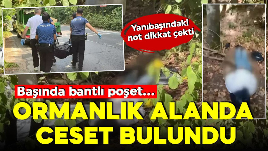 Sarıyer'de korkunç olay! Ormanlık alanda ceset bulundu! Başında bantlı poşet...