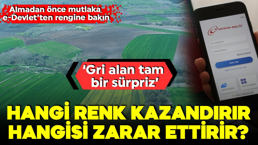 Arsa almadan önce mutlaka rengine bakın! e-Devlet'te yeni uygulama! Hangi renk kazandırır, hangisi kaybettirir?