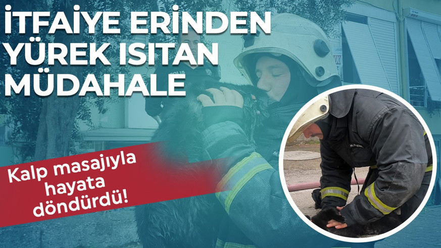 İtfaiye erinden yürek ısıtan kahramanlık! Kediyi kalp masajıyla hayata döndürdü