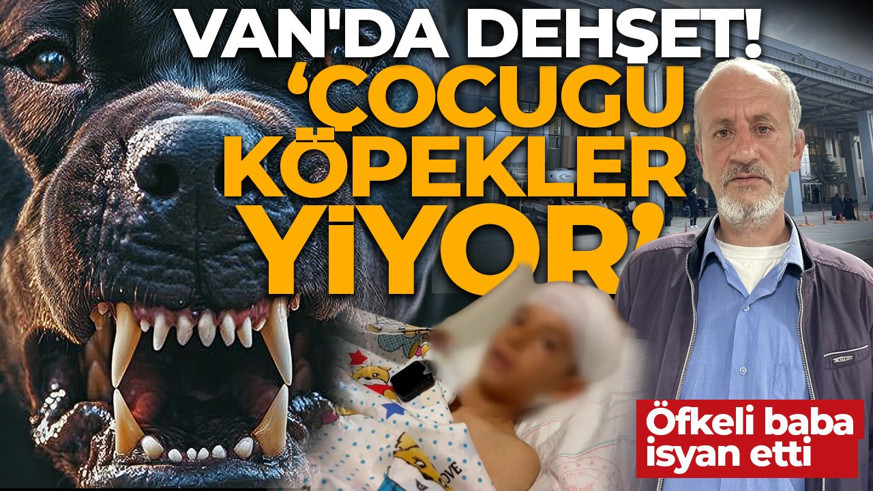 Van'da köpek dehşeti! Küçük Ayaz ölümden döndü, kuzeni hayatını kaybetti! 'Çocuğu köpekler yiyor'