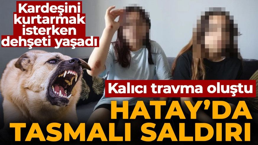 Hatay'ta tasmalı saldırı! Kardeşini kurtarmak isterken dehşeti yaşadı