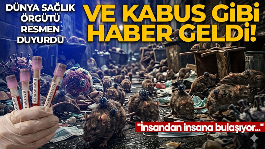 Hantavirüs yeni pandemi başlangıcı mı? DSÖ'den flaş açıklama: İnsandan insana bulaşma olabilir!