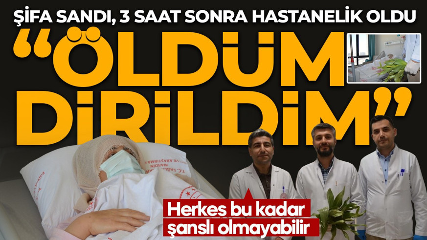 ‘İyi gelir’ diye toplayıp yediği ot öldürüyordu! Vakalar iki haftadır arttı: Herkes bu kadar şanslı olmayabilir