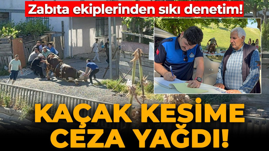 Zabıta ekiplerinden sıkı denetim: Kaçak kesime ceza yağdı!