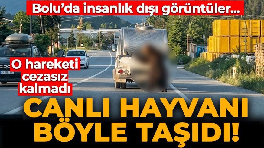 Bolu'da insanlık dışı görüntü kamerada! Canlı hayvanı kilometrelerce sürükledi! O hareketi cezasız kalmadı