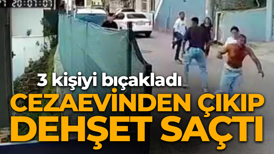 Cezaevinden bayram iznine çıkıp dehşet saçtı! Üç kişiyi bıçakladı
