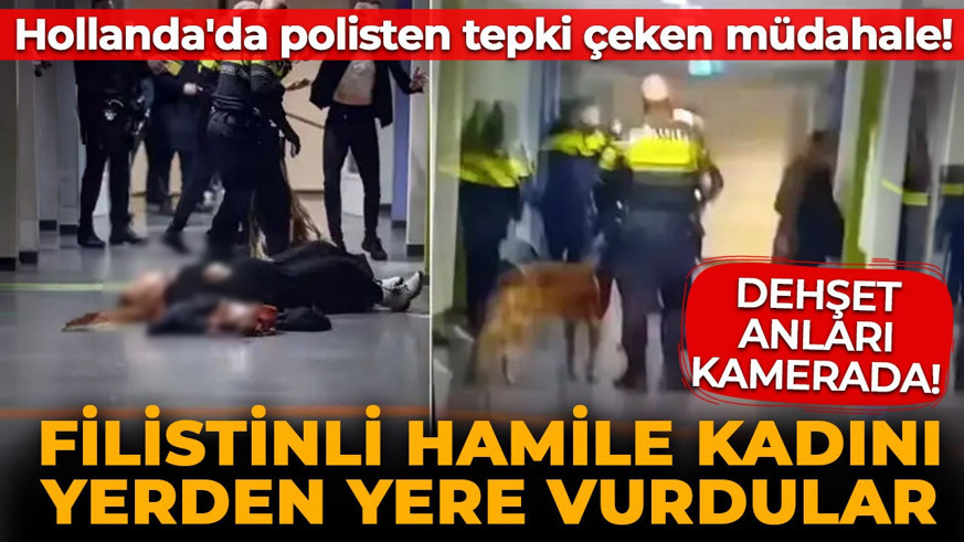 Hollanda'da polisten tepki çeken müdahale! Filistinli hamile kadını yerden yere vurdular! Dehşet anları kamerada