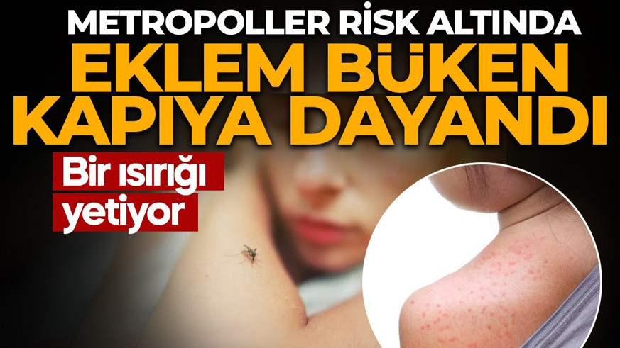Sessiz tehlike yaklaşıyor! “Eklemleri Büken” virüs kapıda! Dünyanın en büyük metropolleri büyük risk altında