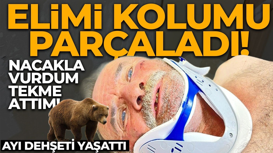 Ayı sürükledi, o direndi! Artvin'de korku dolu anlar: Yerde tekme atıp nacakla vurdum