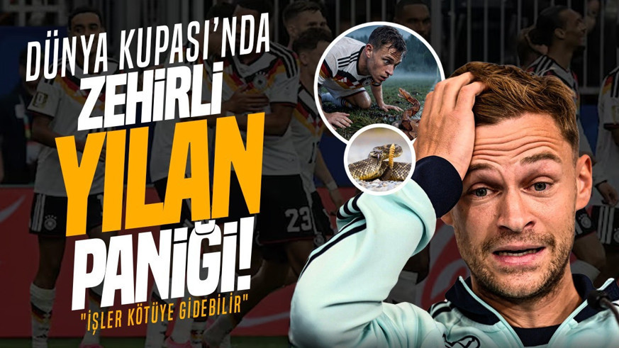 Dünya Kupası’nda zehirli yılan paniği! Antrenmanı yarıda kestiler: “İşler kötüye gidebilir”