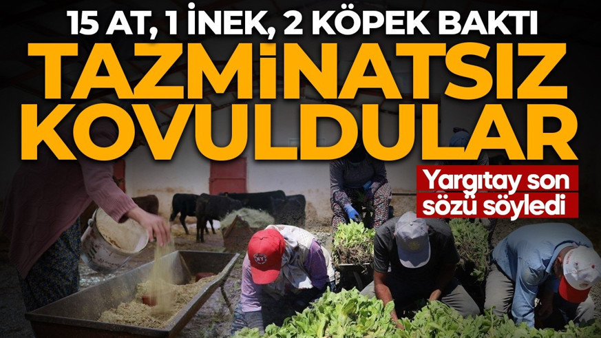5 yıl çalıştılar, tazminatsız kovuldular: Yargıtay son sözü söyledi