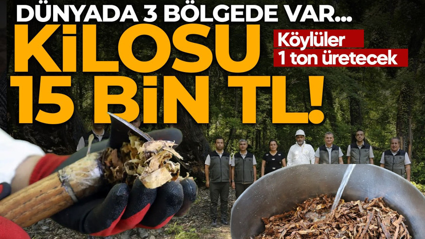 Dünyada 3 bölgede var... Kilosu 15 bin TL
