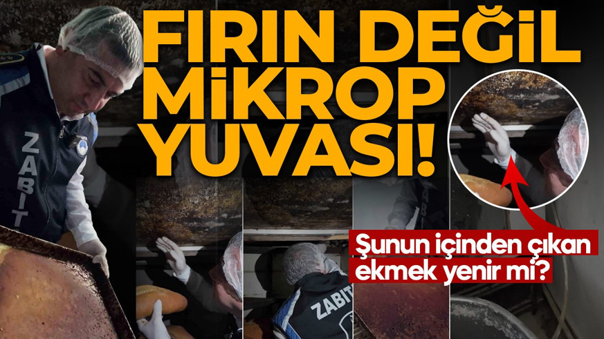 Fırın değil mikrop yuvası! O görüntüler mide bulandırdı: Şunun içinden çıkan ekmek yenir mi?