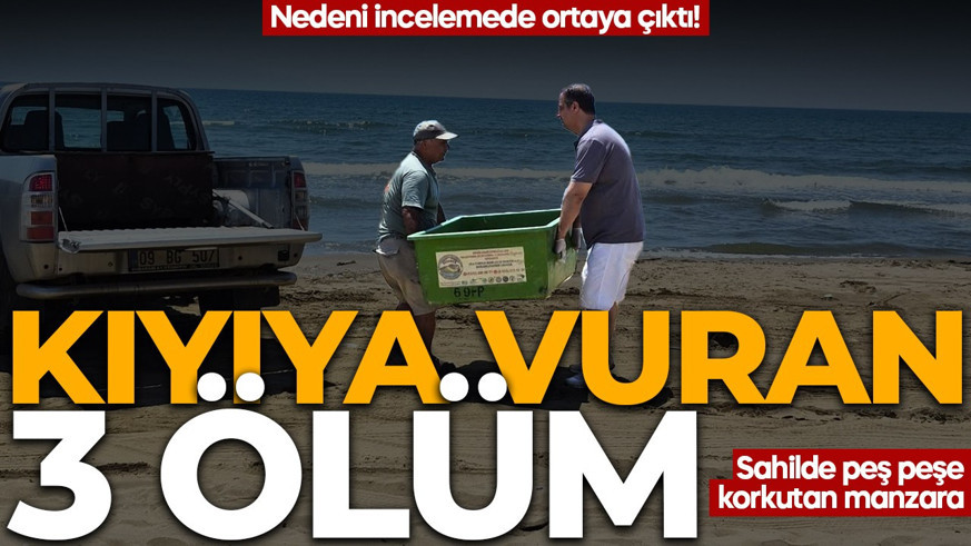 Sahilde peş peşe korkutan manzara: Kıyıya vuran 3 ölüm! Nedeni incelemede ortaya çıktı