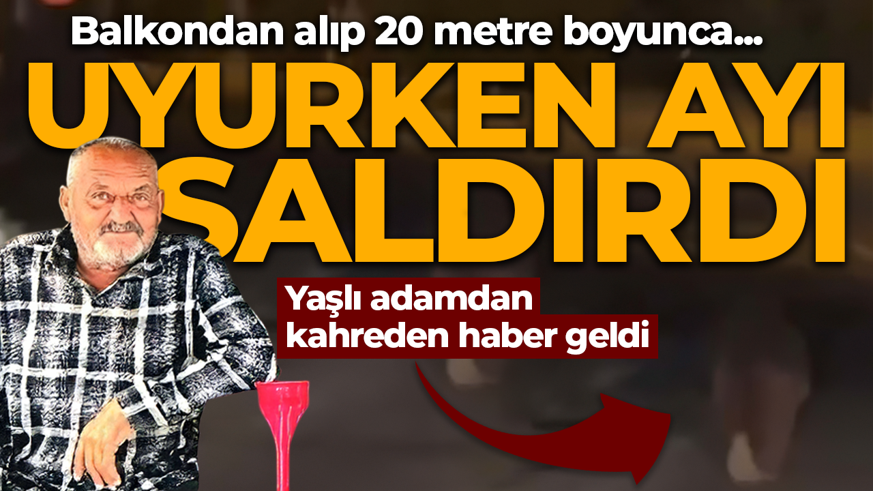 Evinin balkonunda uyurken ayı saldırdı! Balkondan alıp 20 metre boyunca... Acı haber geldi