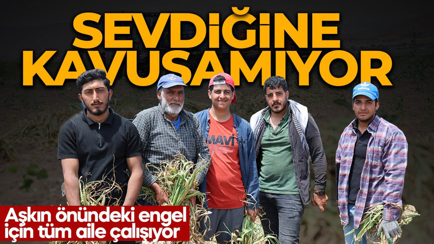Yıllardır sevdiği kızı bekliyor! Tüm aile onun için çalışıyor! İstedikleri para da dudak uçuklattı