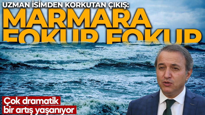 Marmara Denizi fokur fokur kaynıyor! Uzman isimden korkutan sözler: Dramatik bir artış var