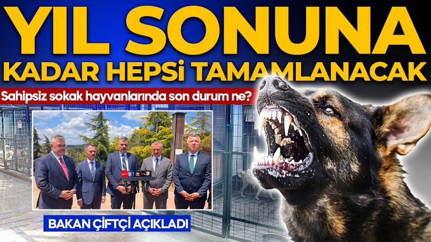 Bakan Çiftçi açıkladı: Sahipsiz sokak hayvanlarında son durum ne? "Yıl sonuna kadar tamamlanacak"