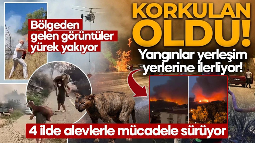 Orman yangınları kabusu başladı! Dört bir yanımızdan korkutan haberler geliyor! İşte yangınlardaki son durum...