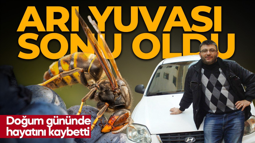 Doğum gününde korkunç veda! Eşek arısı yuvası sonu oldu