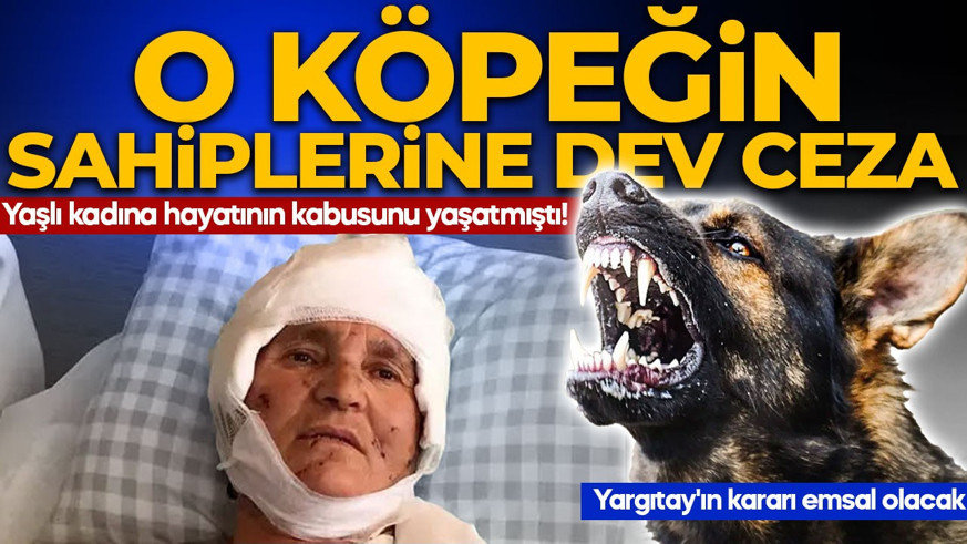 Yaşlı kadına hayatının kabusunu yaşatmıştı! Yargıtay'ın kararı emsal olacak: Saldırgan köpeğin sahiplerine dev ceza