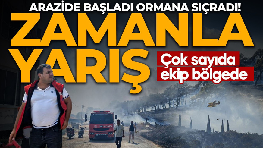 Arazide başladı ormana sıçradı! Balıkesir'de korkutan yangın: Çok sayıda ekip bölgede