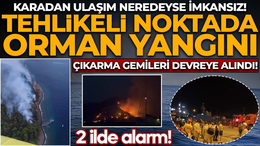 Alevlerle mücadele sürüyor! Muğla ve Manisa'da orman yangını: Ekipler alarma geçti