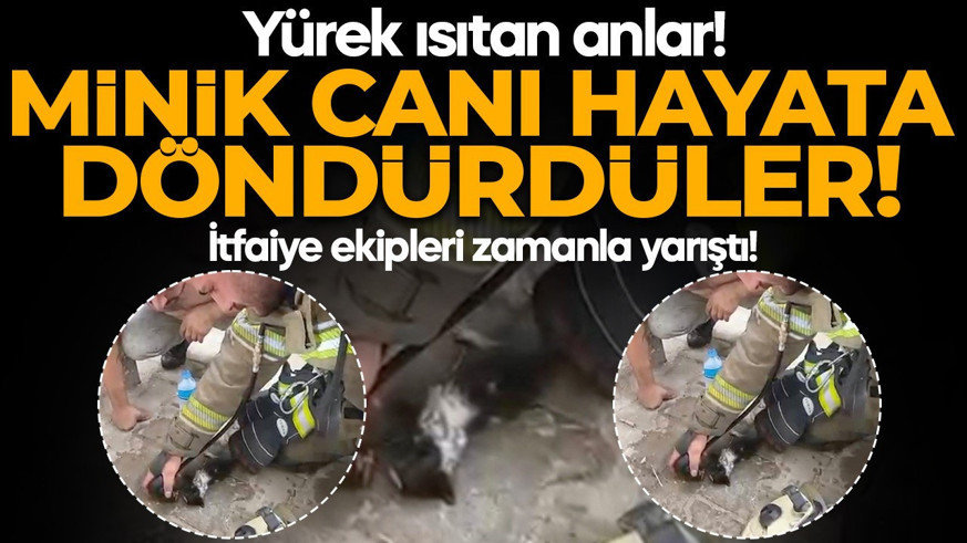 Yürek ısıtan anlar! Yavru kediyi hayata döndürdüler: İtfaiye ekipleri zamanla yarıştı