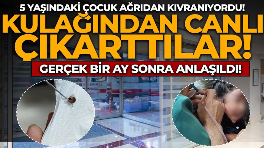 5 yaşındaki çocuk ağrıdan kıvranıyordu! Kulağından canlı halde çıkarttılar: Gerçek bir ay sonra anlaşıldı