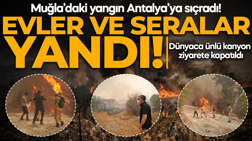 Muğla'daki yangın Kaş'a sıçradı! Evler ve seralar yandı: Çok sayıda ekip müdahale ediyor