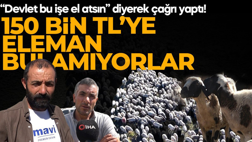 Maaşı duyan inanamıyor! Yeme, içme, sigara ve yatacak yer dâhil 150 bin TL veriyorlar! Yine de eleman bulamıyorlar